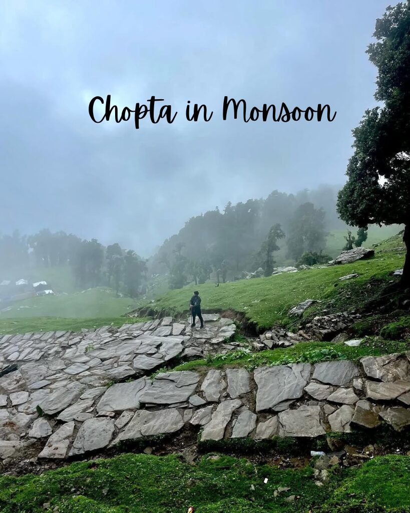 Chopta in Monsoon – Beauty, Challenges & Travel Tips